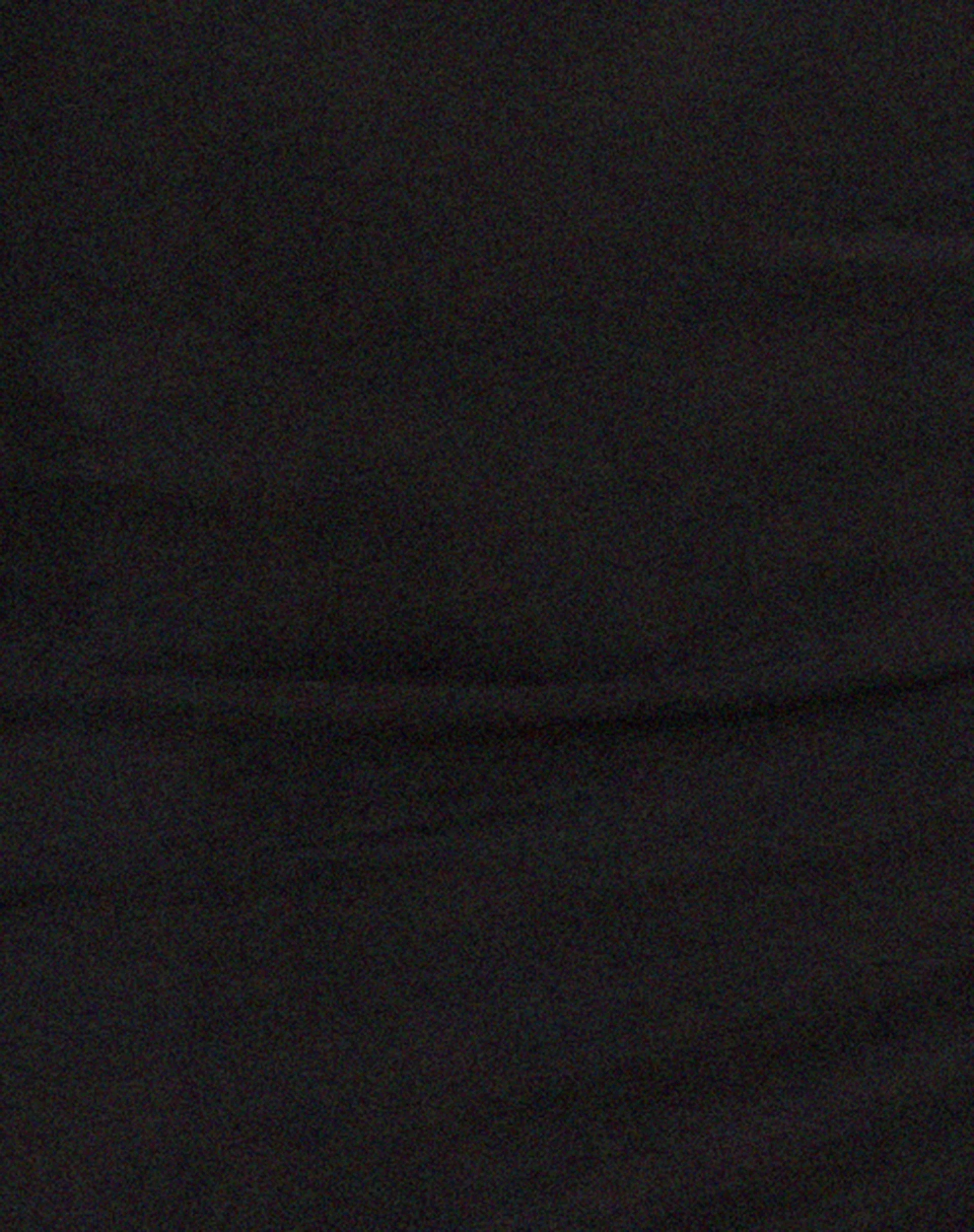 Asmala Halterneck Maxi Dress and Sleeve Set in Black Mesh - Image 5