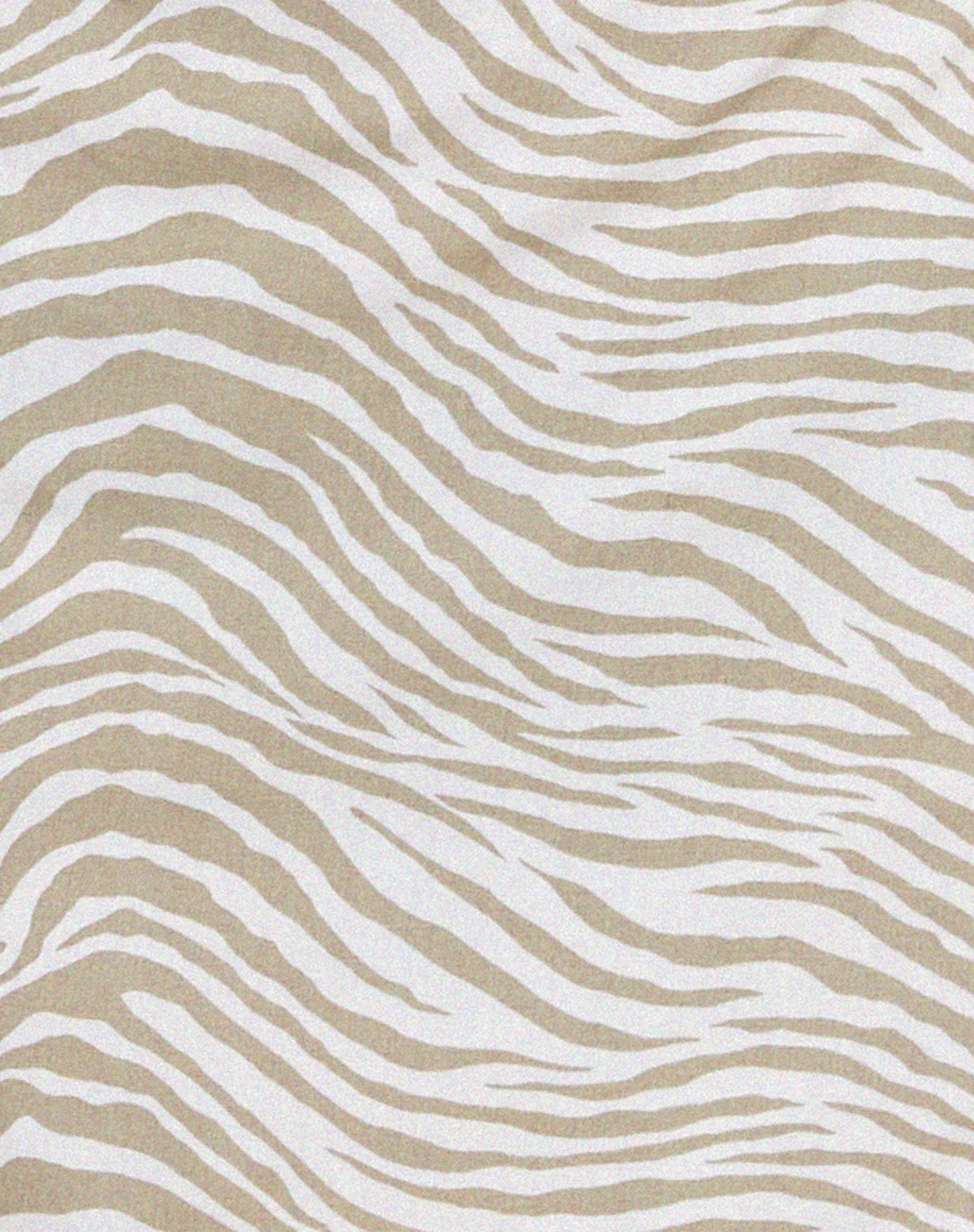 Shema Mini Skirt in Tonal Zebra - Image 5