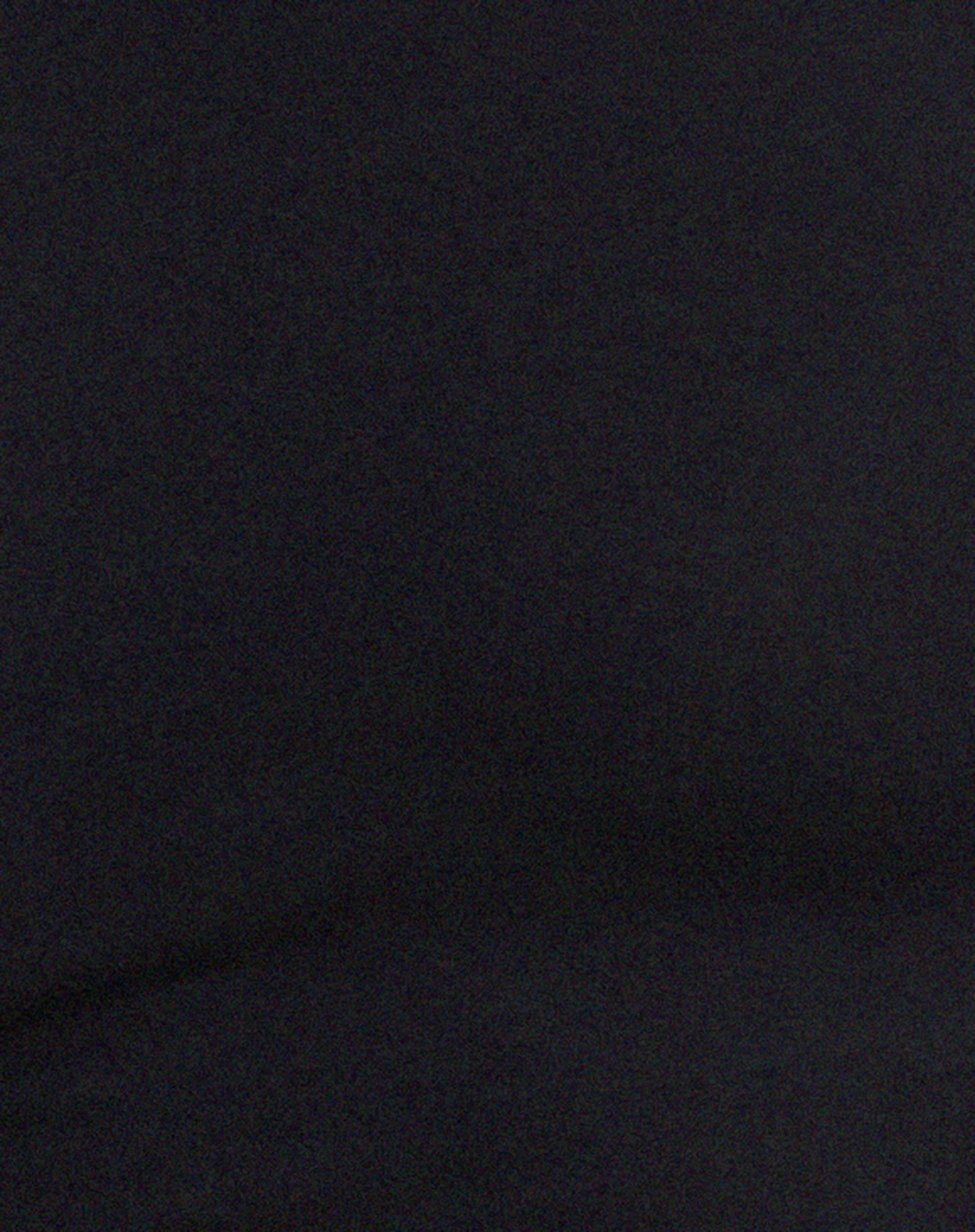 Xiwang Crop Top in Black - Image 6